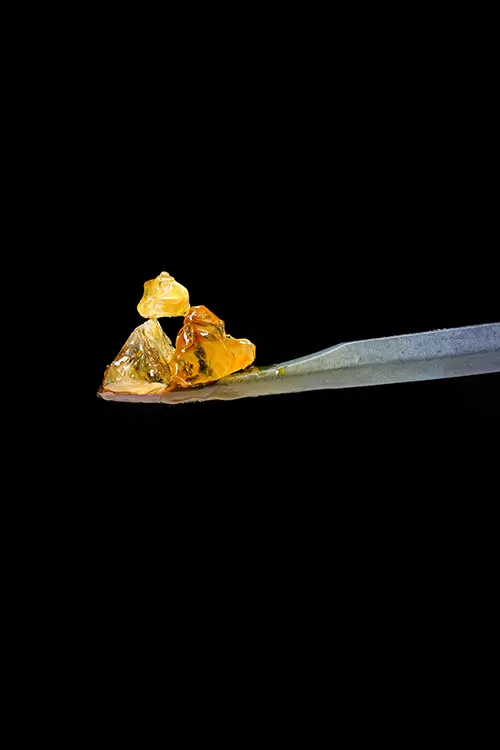Concentrate4